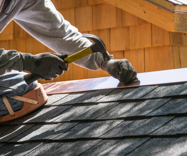 Roof Gutter Cleaning in Panhandle, TX